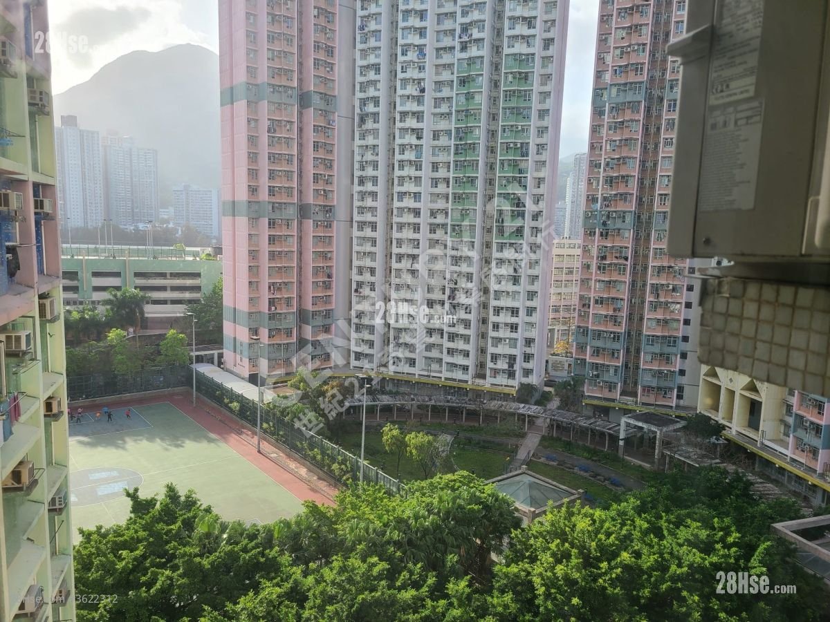 锦丰苑 售盘 3 房 , 1 浴室 540 平方尺 锦丰苑 售盘 3 房 , 1 浴室 540 平方尺