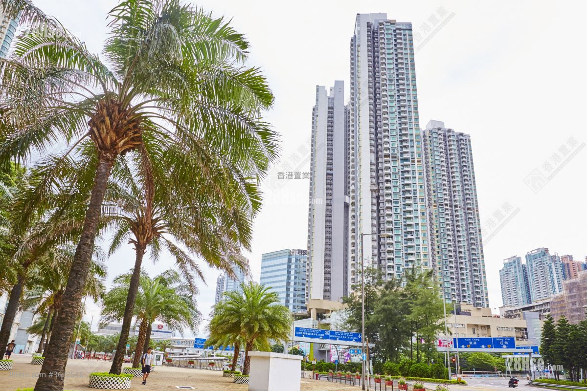 海桃灣 售盤 2 房 482 平方呎 海桃灣 售盤 2 房 482 平方呎