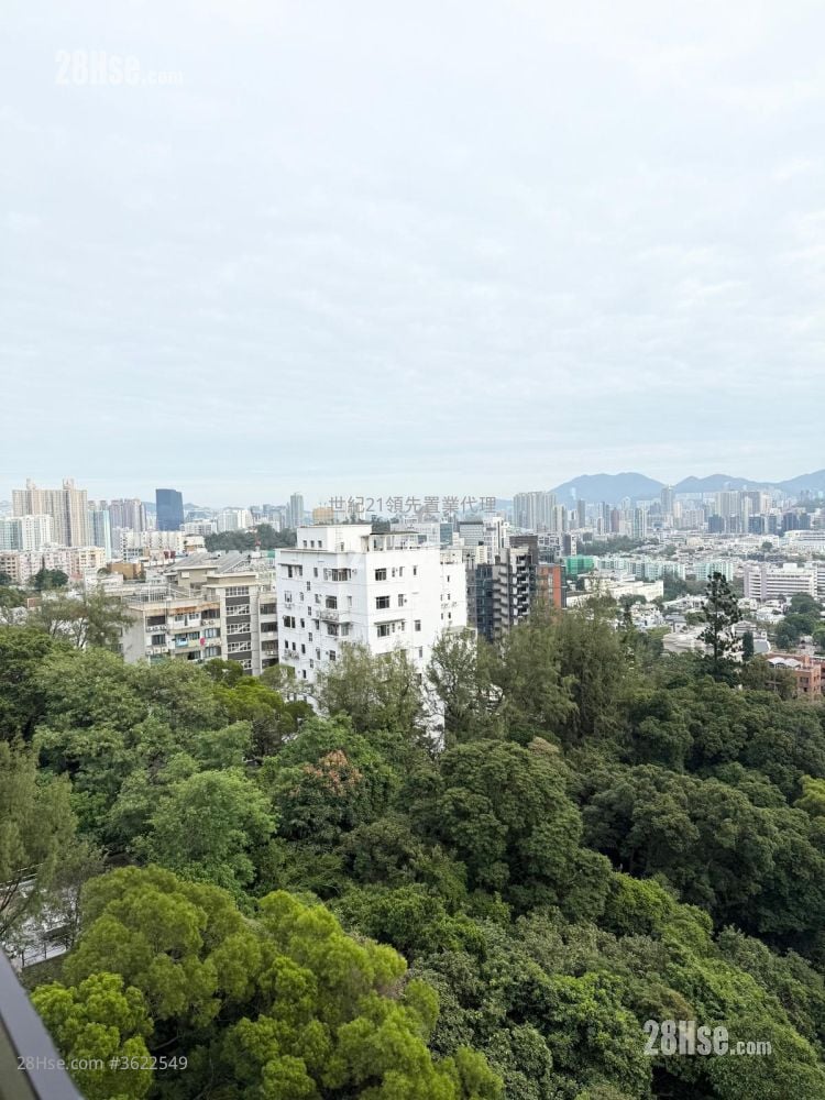 畢架山一號 租盤 4 房 , 3 浴室 1,495 平方呎 畢架山一號 租盤 4 房 , 3 浴室 1,495 平方呎