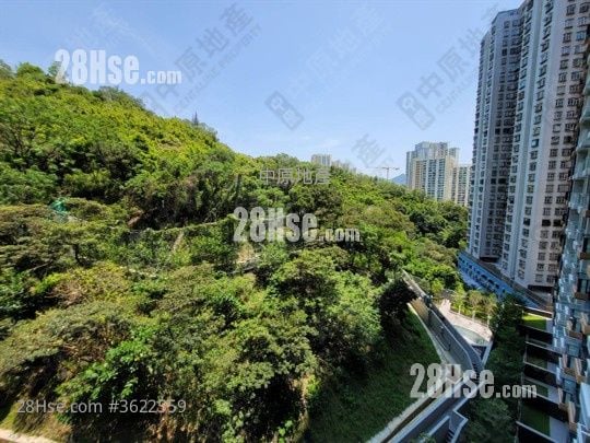 The Grand Marine Rental 2 Bedrooms , 1 Bathroom 421 ft² The Grand Marine Rental 2 Bedrooms , 1 Bathroom 421 ft²