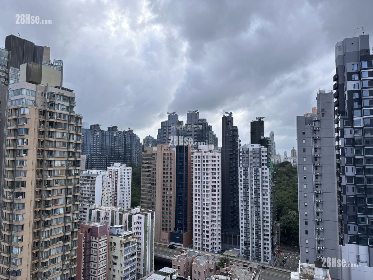 The Vantage Rental Studio 196 ft² The Vantage Rental Studio 196 ft²