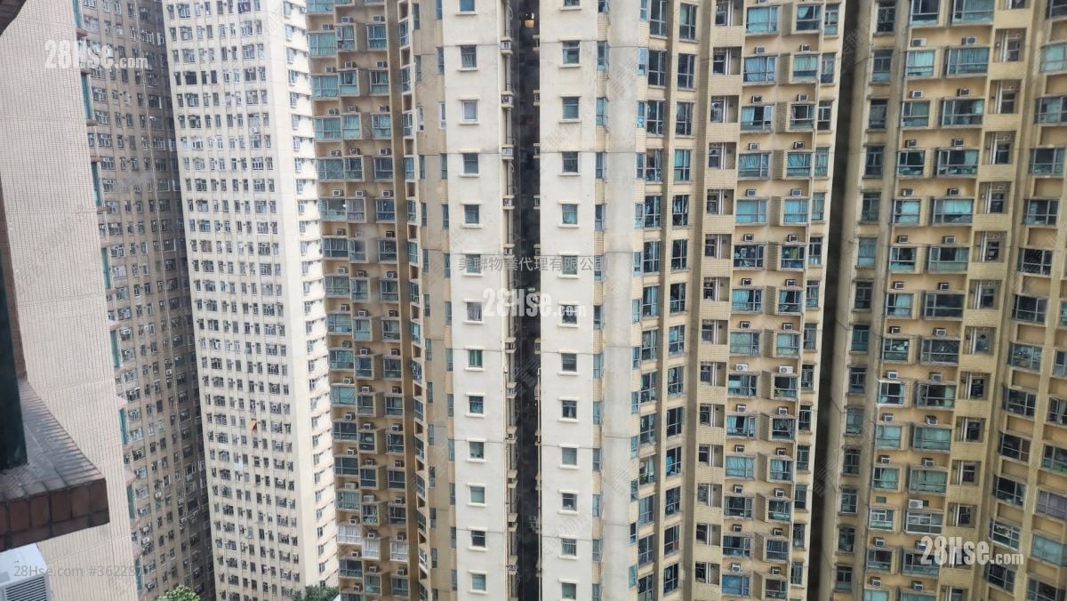 星河明居 售盘 3 房 , 2 浴室 593 平方尺 星河明居 售盘 3 房 , 2 浴室 593 平方尺