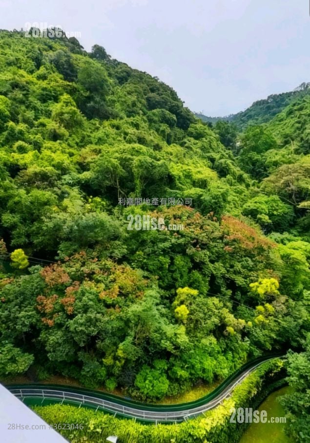 Peak One Sell 5+ Bedrooms , 3 Bathrooms 1,939 ft² Peak One Sell 5+ Bedrooms , 3 Bathrooms 1,939 ft²