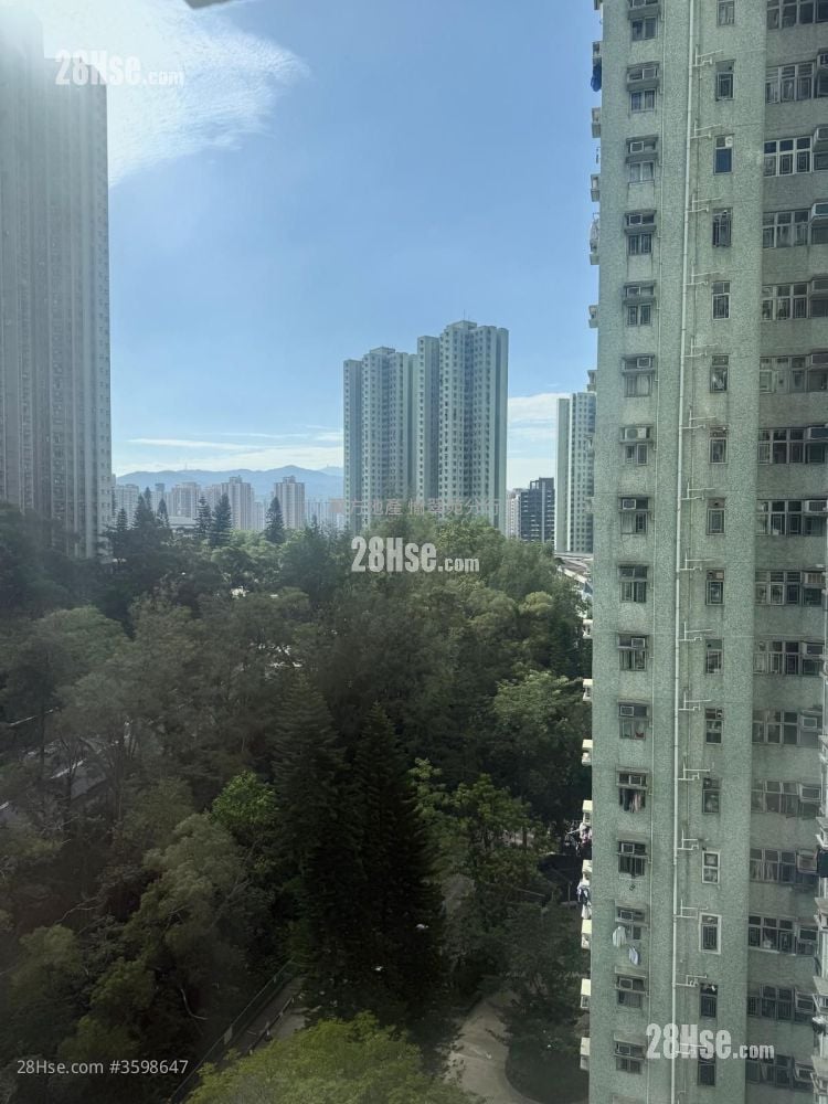 Saddle Ridge Garden Sell 3 Bedrooms , 1 Bathroom 583 ft²