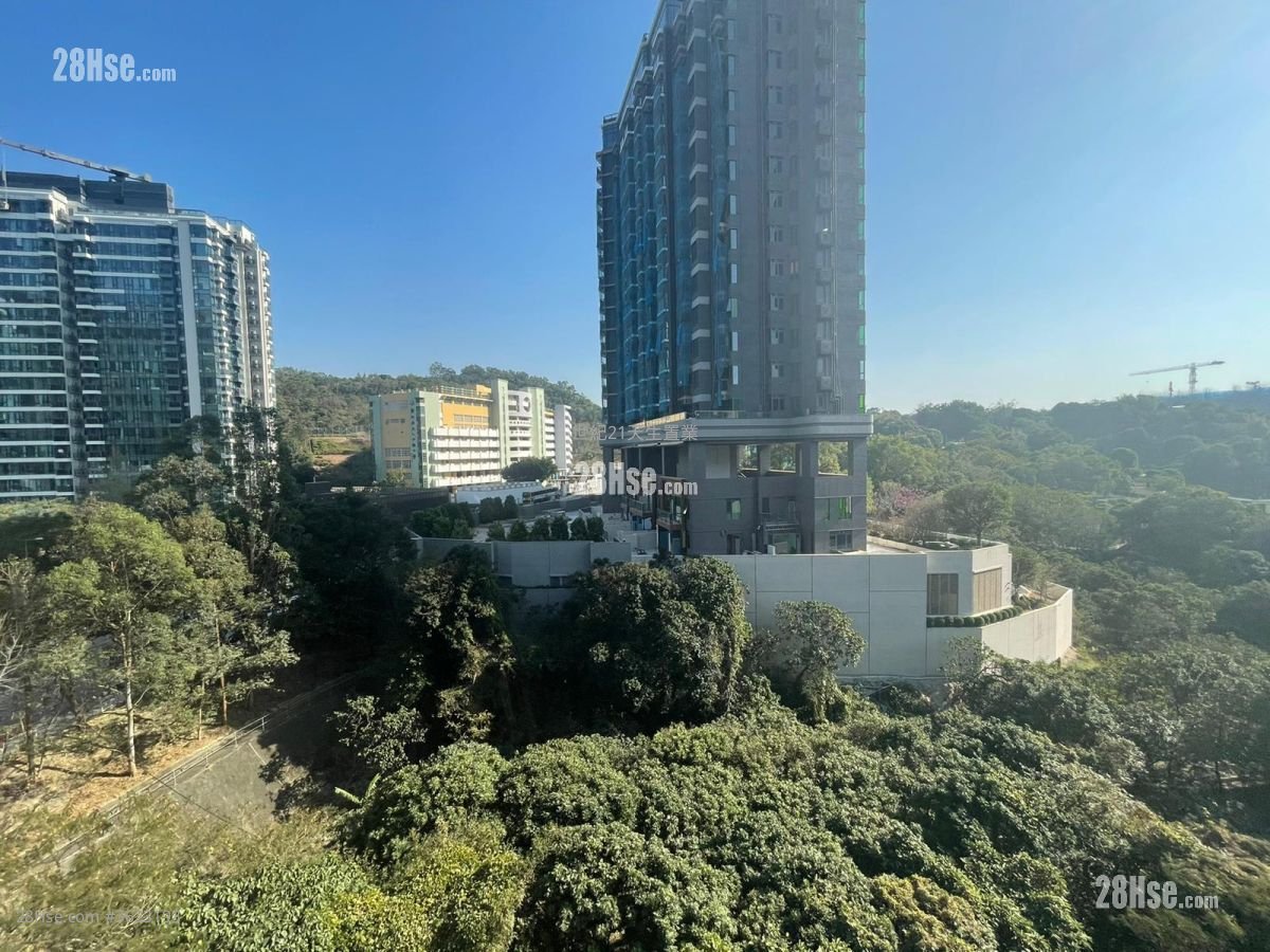 Napa Rental 2 Bedrooms , 1 Bathroom 460 ft²