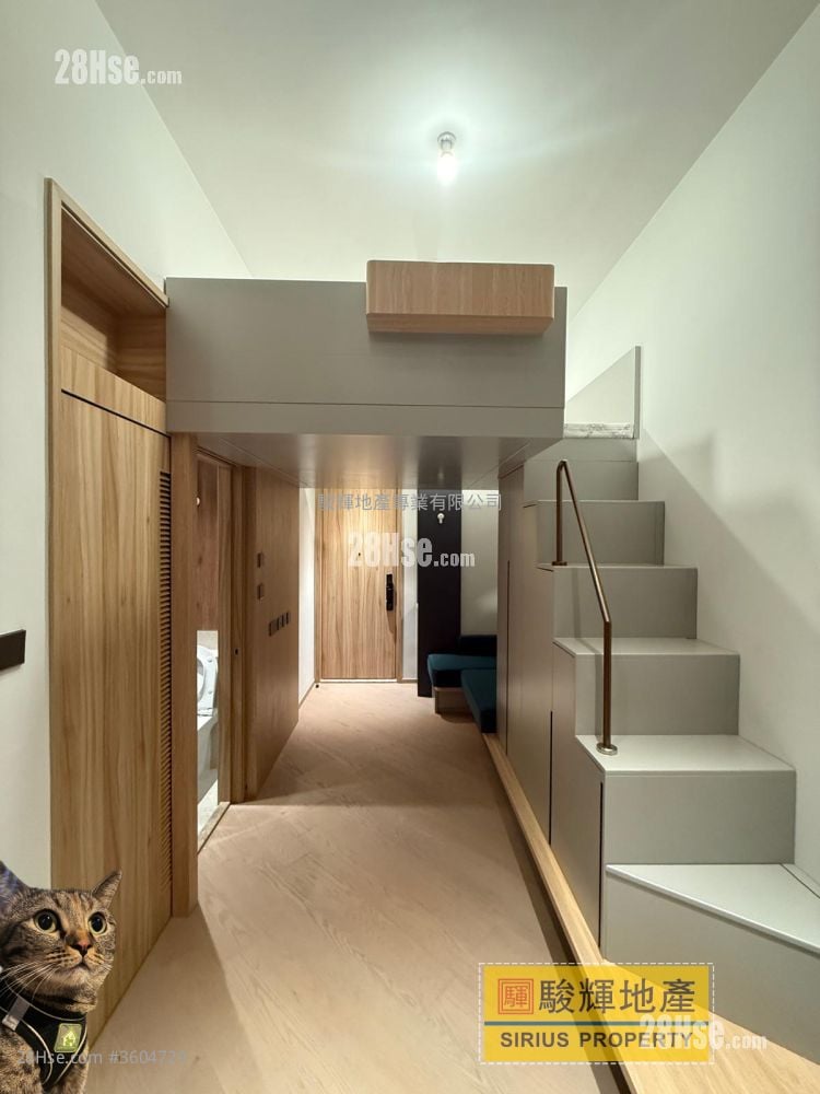 連方 租盤 開放式間隔 , 1 浴室 232 平方呎 連方 租盤 開放式間隔 , 1 浴室 232 平方呎