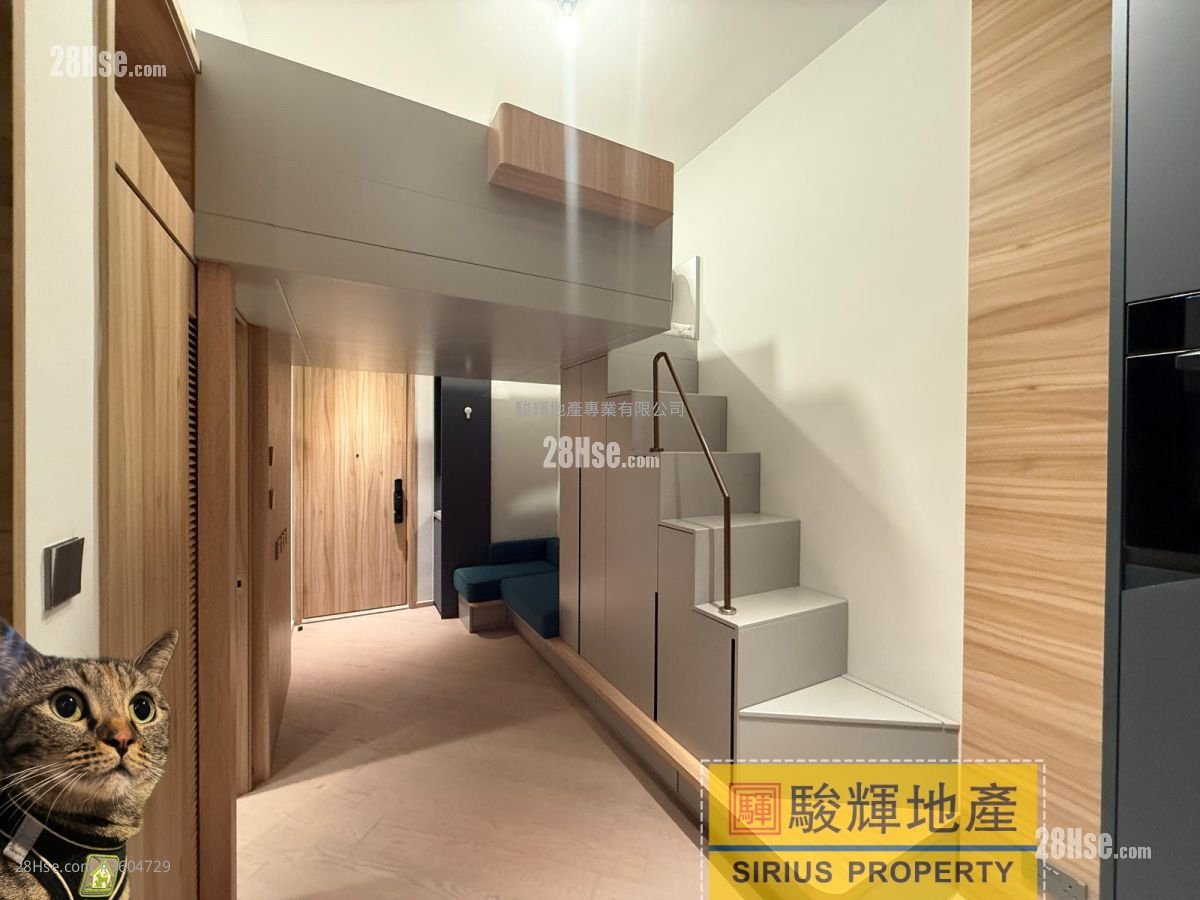 連方 租盤 開放式間隔 , 1 浴室 232 平方呎 連方 租盤 開放式間隔 , 1 浴室 232 平方呎