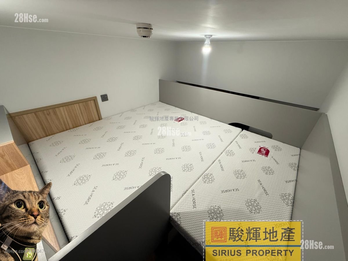 連方 租盤 開放式間隔 , 1 浴室 232 平方呎 連方 租盤 開放式間隔 , 1 浴室 232 平方呎