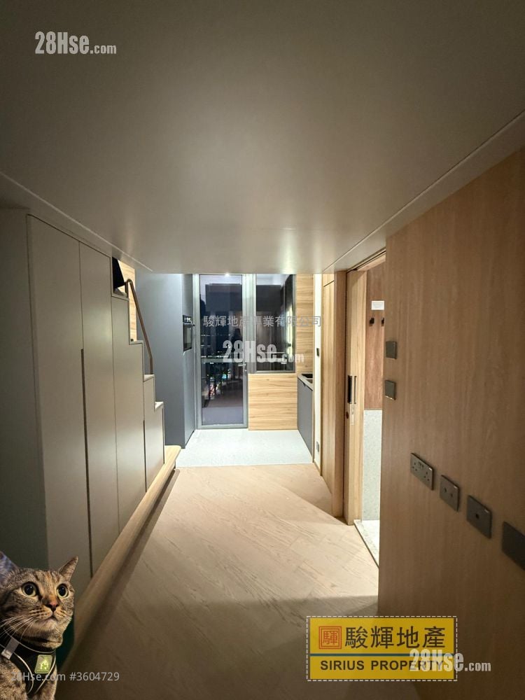 連方 租盤 開放式間隔 , 1 浴室 232 平方呎 連方 租盤 開放式間隔 , 1 浴室 232 平方呎