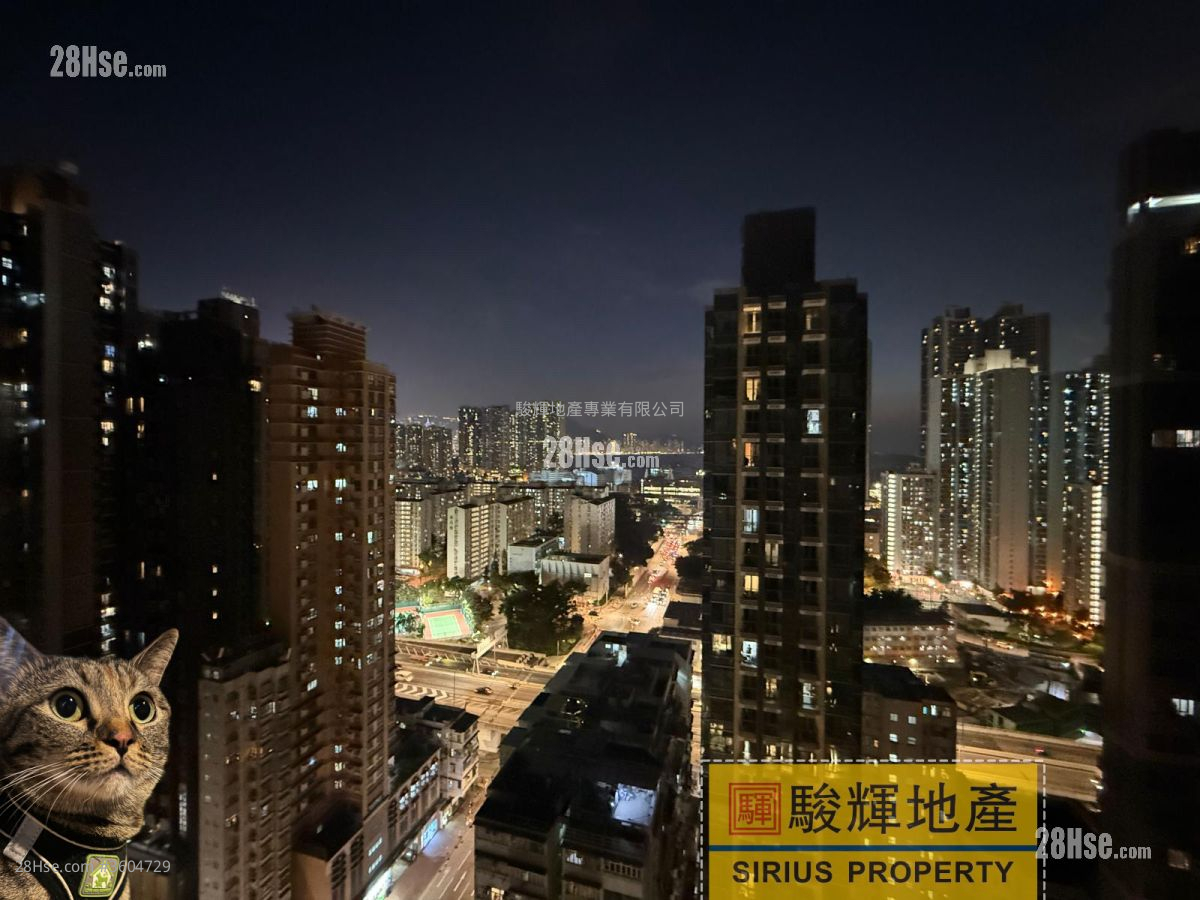 連方 租盤 開放式間隔 , 1 浴室 232 平方呎 連方 租盤 開放式間隔 , 1 浴室 232 平方呎