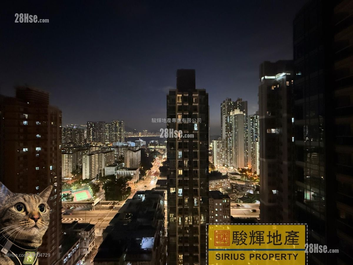 連方 租盤 開放式間隔 , 1 浴室 232 平方呎 連方 租盤 開放式間隔 , 1 浴室 232 平方呎