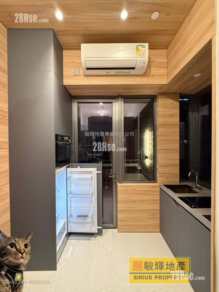 連方 租盤 開放式間隔 , 1 浴室 232 平方呎 連方 租盤 開放式間隔 , 1 浴室 232 平方呎