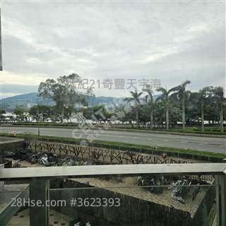 有匙平租  天宇海 JODY CHAN  3房 98453288  JODY 有匙平租  天宇海 JODY CHAN  3房 98453288  JODY