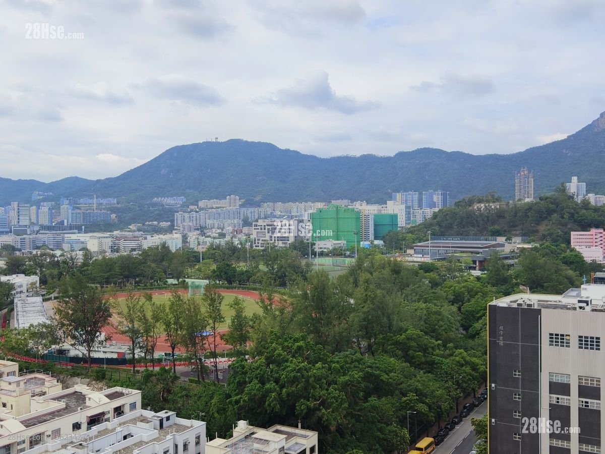 陶源 租盤 787 平方呎 陶源 租盤 787 平方呎