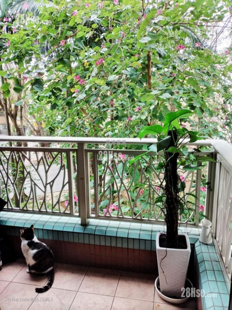 珀麗灣 售盤 2 房 , 1 浴室 549 平方呎 珀麗灣 售盤 2 房 , 1 浴室 549 平方呎