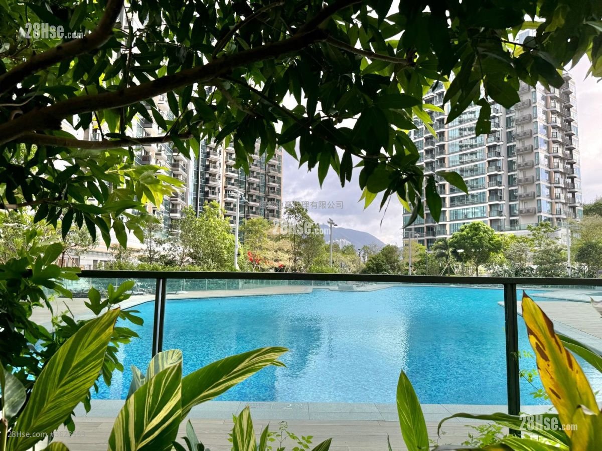 Koko Hills Rental 2 Bedrooms , 1 Bathroom 425 ft² Koko Hills Rental 2 Bedrooms , 1 Bathroom 425 ft²