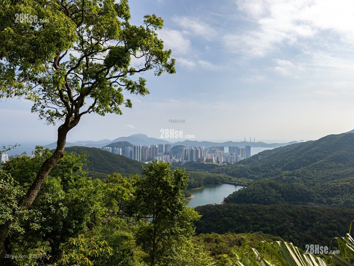 中峡路 售盘 4 房 , 4 浴室 6,200 平方尺 中峡路 售盘 4 房 , 4 浴室 6,200 平方尺