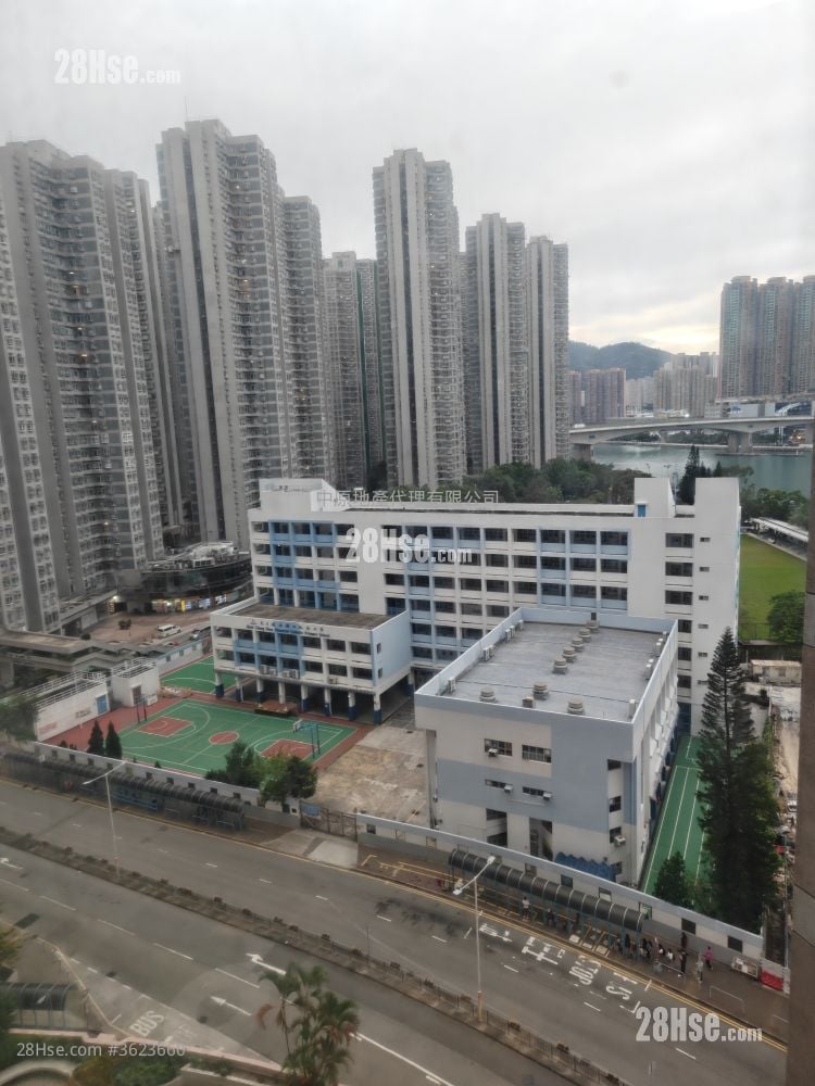 海湾花园 租盘 537 平方尺