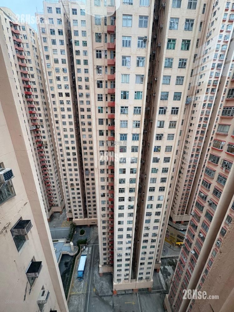 Amoy Gardens Rental 2 Bedrooms , 1 Bathroom 375 ft² Amoy Gardens Rental 2 Bedrooms , 1 Bathroom 375 ft²