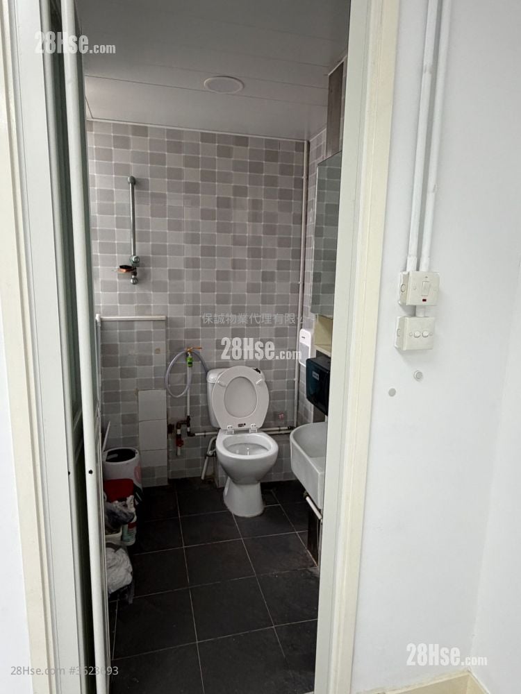 成业工业大厦 租盘 成业工业大厦 租盘