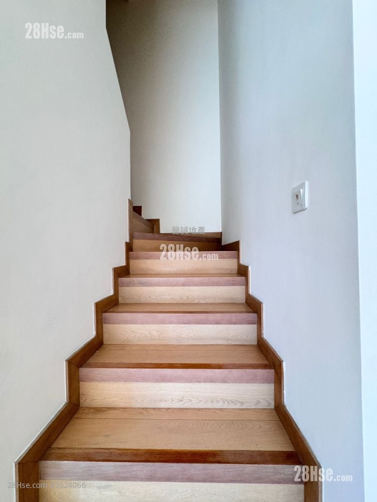 Avignon Sell 5+ Bedrooms , 4 Bathrooms 1,564 ft² Avignon Sell 5+ Bedrooms , 4 Bathrooms 1,564 ft²