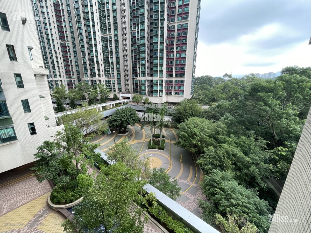 Dawning Views Rental 2 Bedrooms , 1 Bathroom 384 ft² Dawning Views Rental 2 Bedrooms , 1 Bathroom 384 ft²