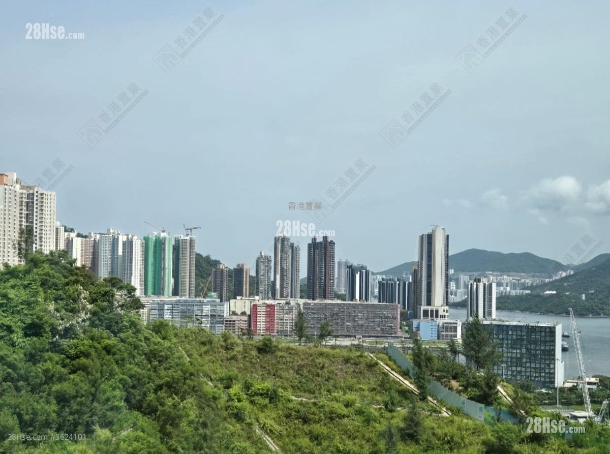 Koko Hills Rental 1 Bedroom 300 ft² Koko Hills Rental 1 Bedroom 300 ft²