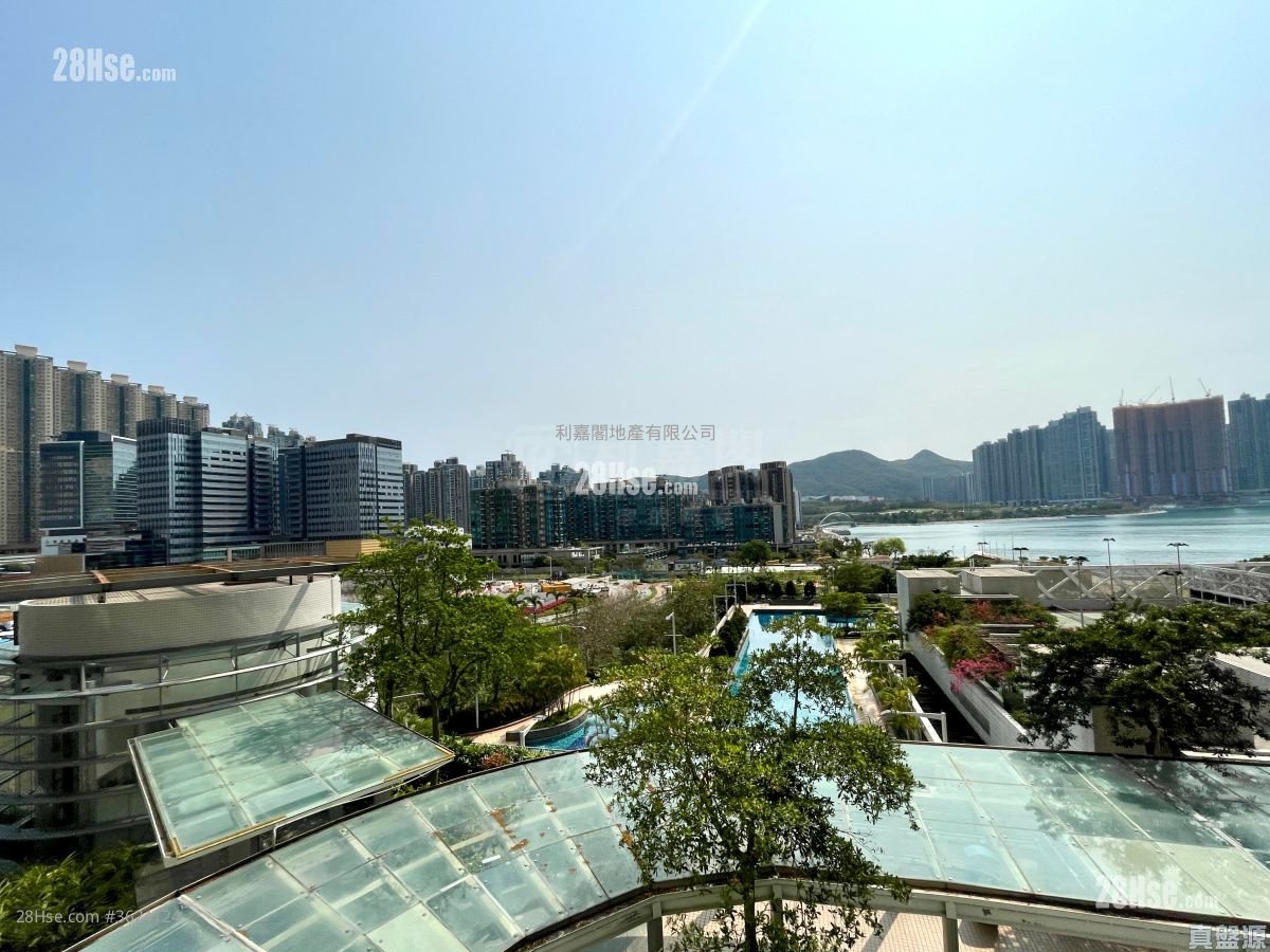 Ocean Shores Rental 2 Bedrooms , 1 Bathroom 498 ft² Ocean Shores Rental 2 Bedrooms , 1 Bathroom 498 ft²