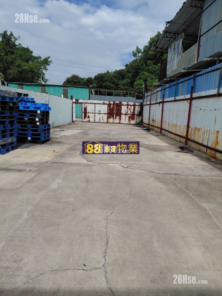 粉嶺路邊 租盤 粉嶺路邊 租盤