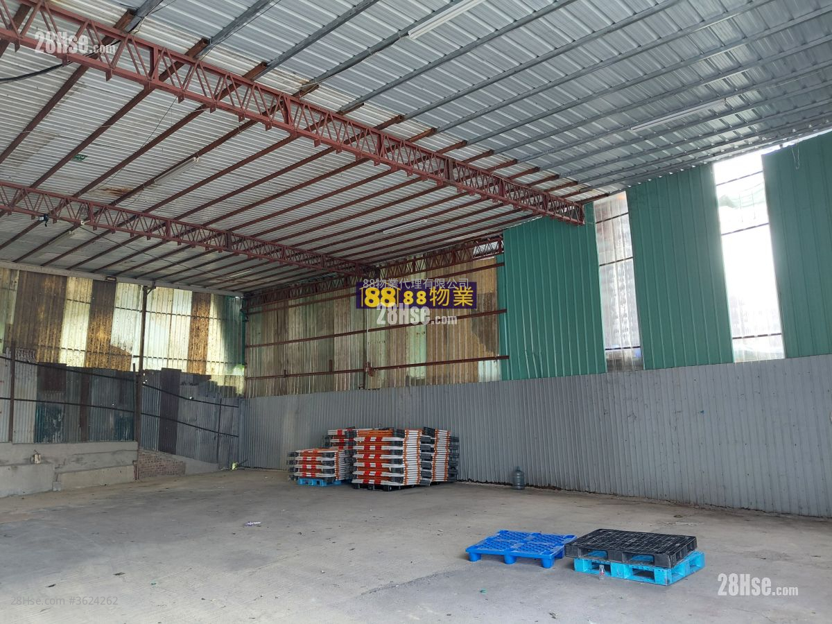 粉嶺路邊 租盤 粉嶺路邊 租盤