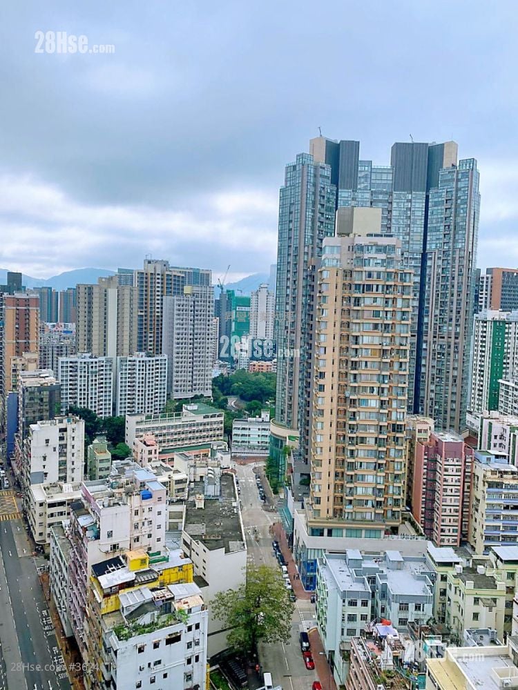 Viva Rental 2 Bedrooms , 1 Bathroom 487 ft² Viva Rental 2 Bedrooms , 1 Bathroom 487 ft²