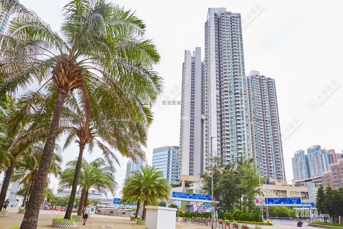 海桃灣 租盤 3 房 , 2 浴室 635 平方呎 海桃灣 租盤 3 房 , 2 浴室 635 平方呎