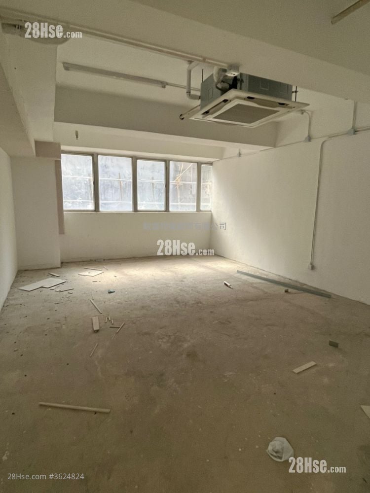 威利广场 租盘 威利广场 租盘