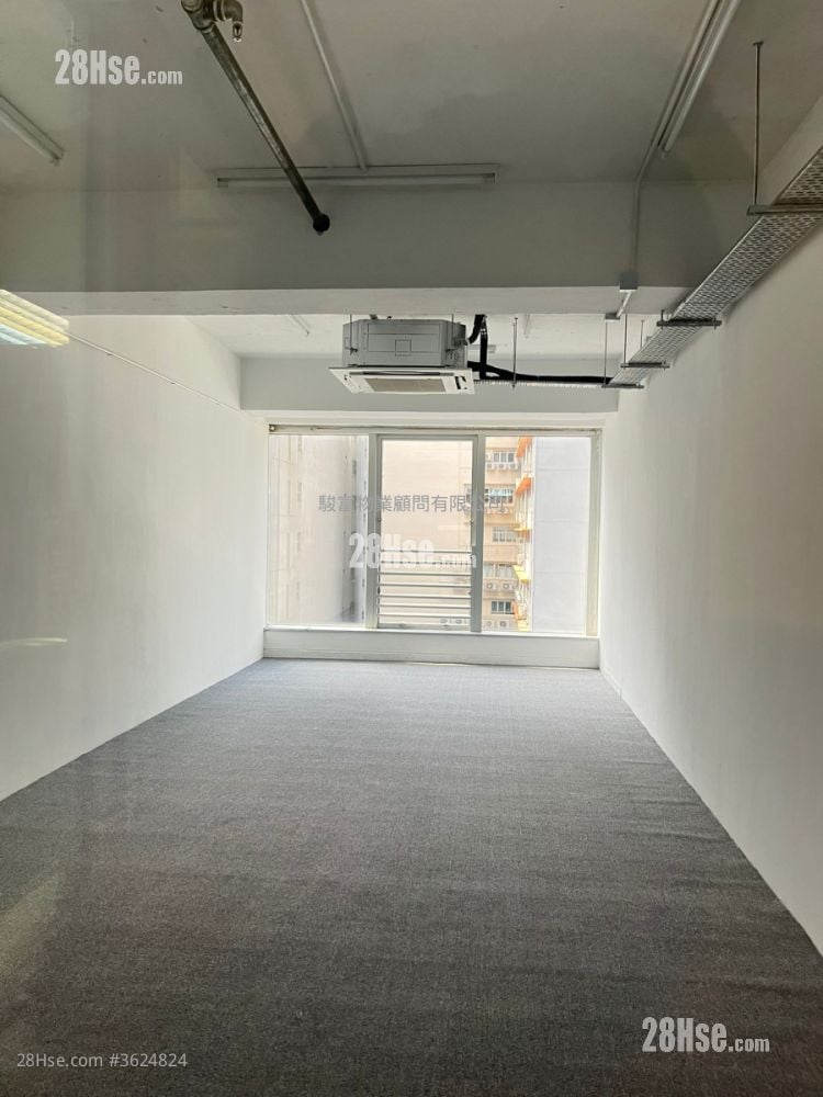 威利广场 租盘 威利广场 租盘