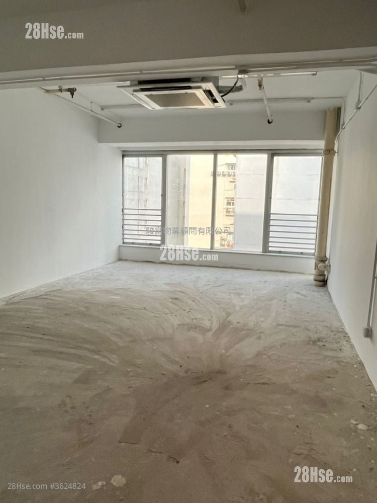 威利广场 租盘 威利广场 租盘