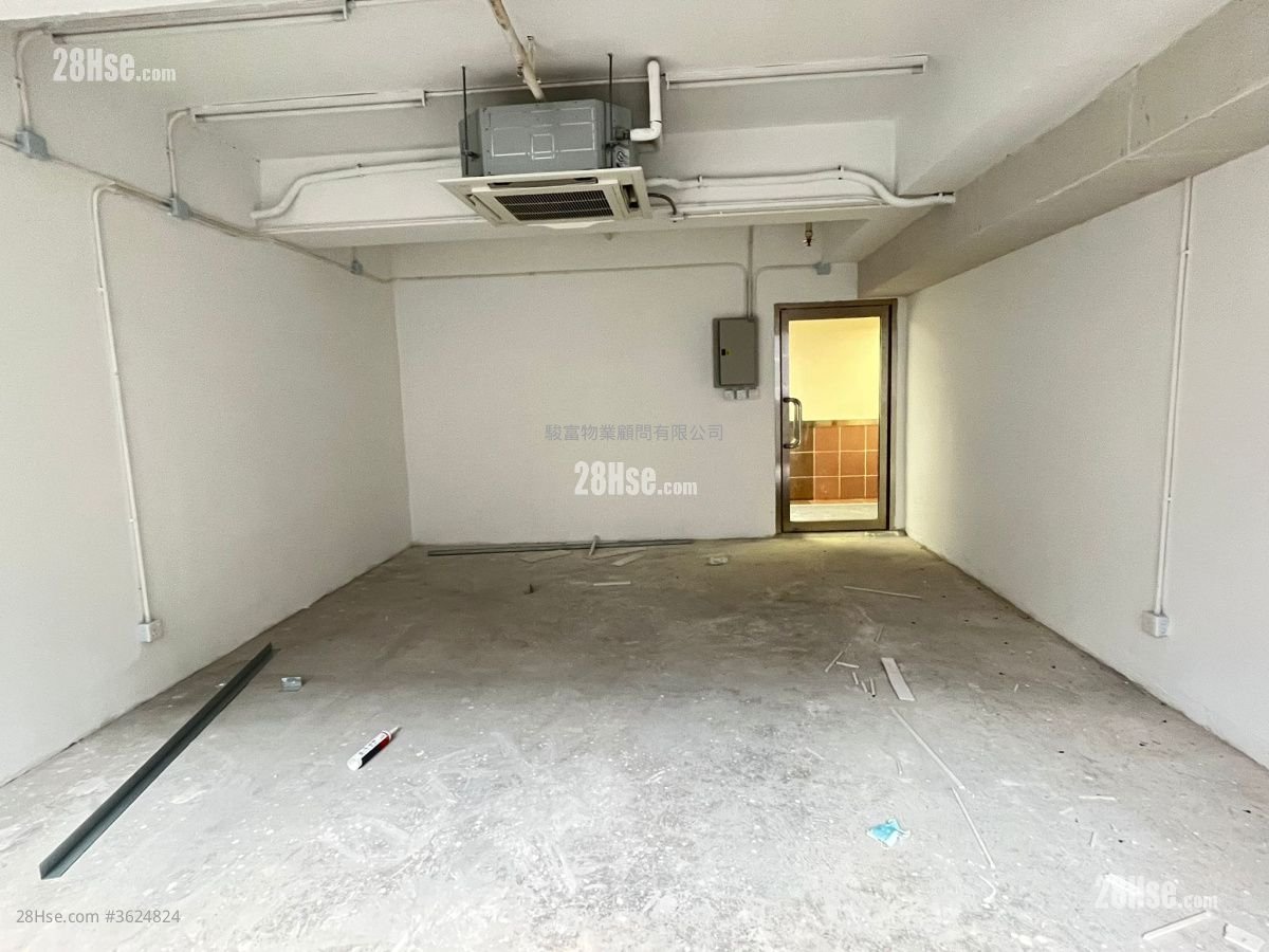 威利广场 租盘 威利广场 租盘