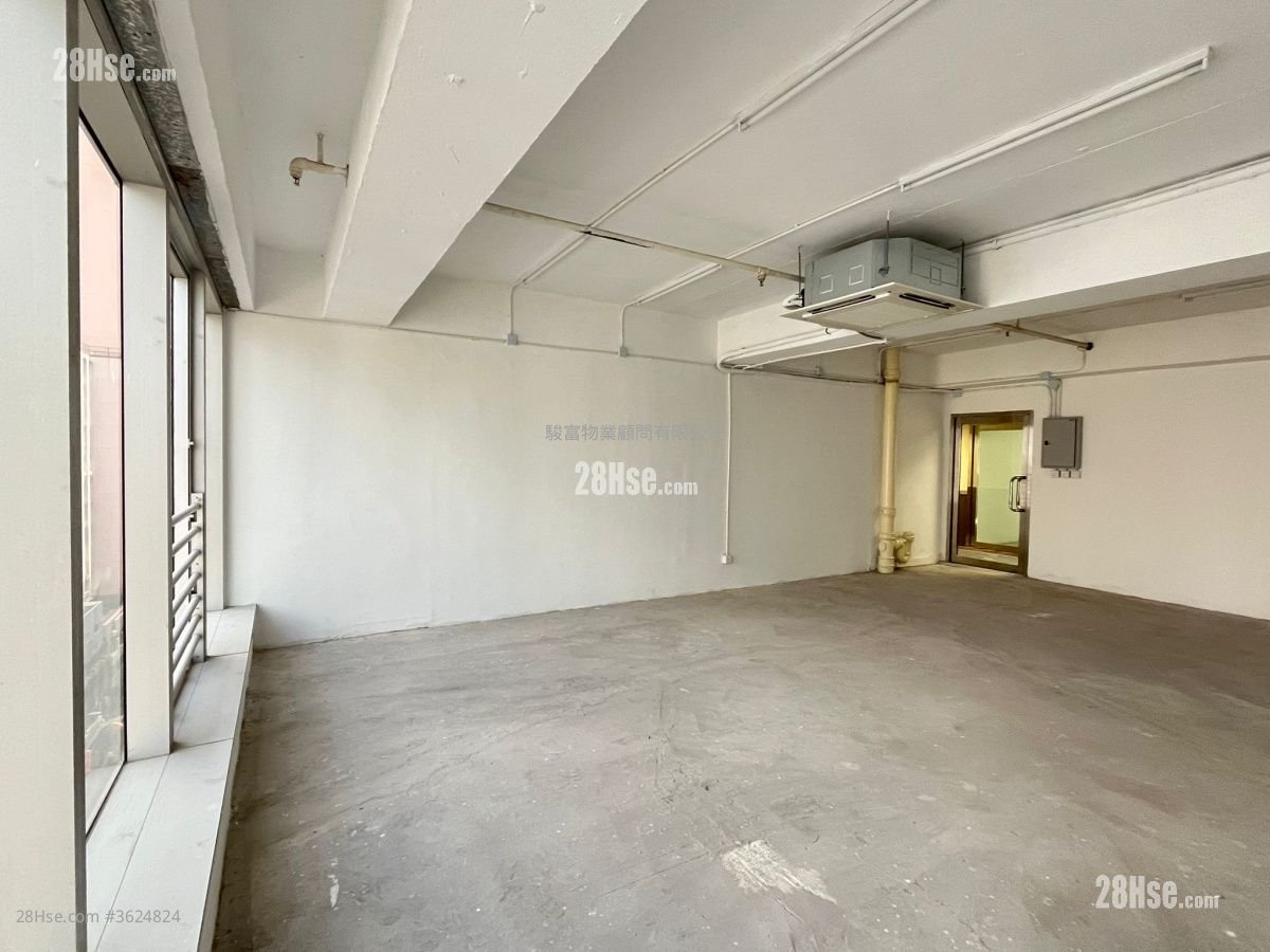 威利广场 租盘 威利广场 租盘