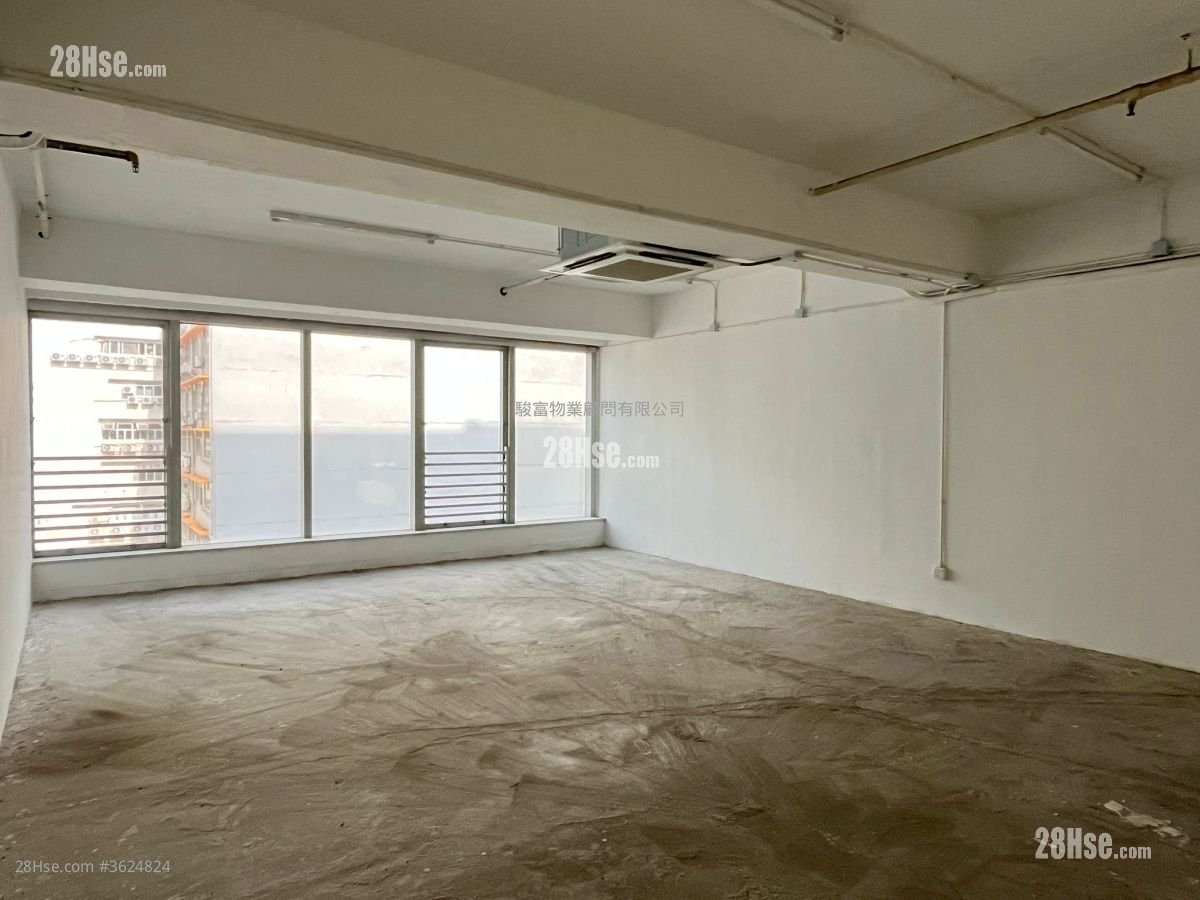 威利广场 租盘 威利广场 租盘