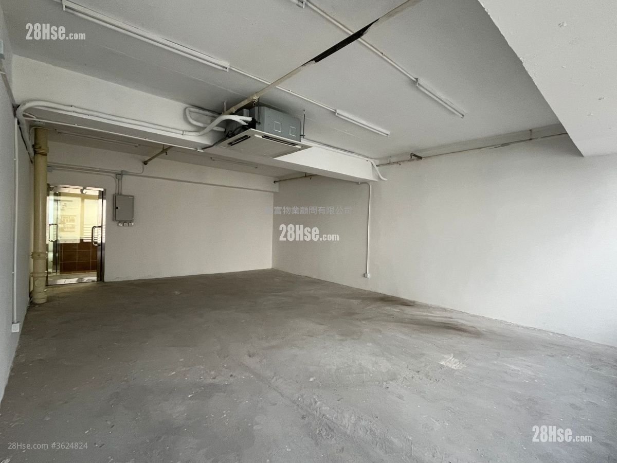 威利广场 租盘 威利广场 租盘