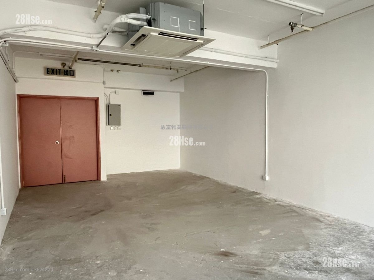 威利广场 租盘 威利广场 租盘