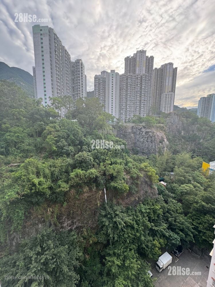 Belleve Court Rental 1 Bathroom 272 ft²