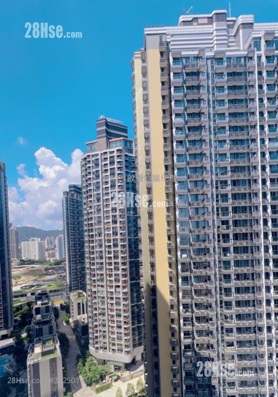 Henley Park 租盤 392 平方呎 Henley Park 租盤 392 平方呎