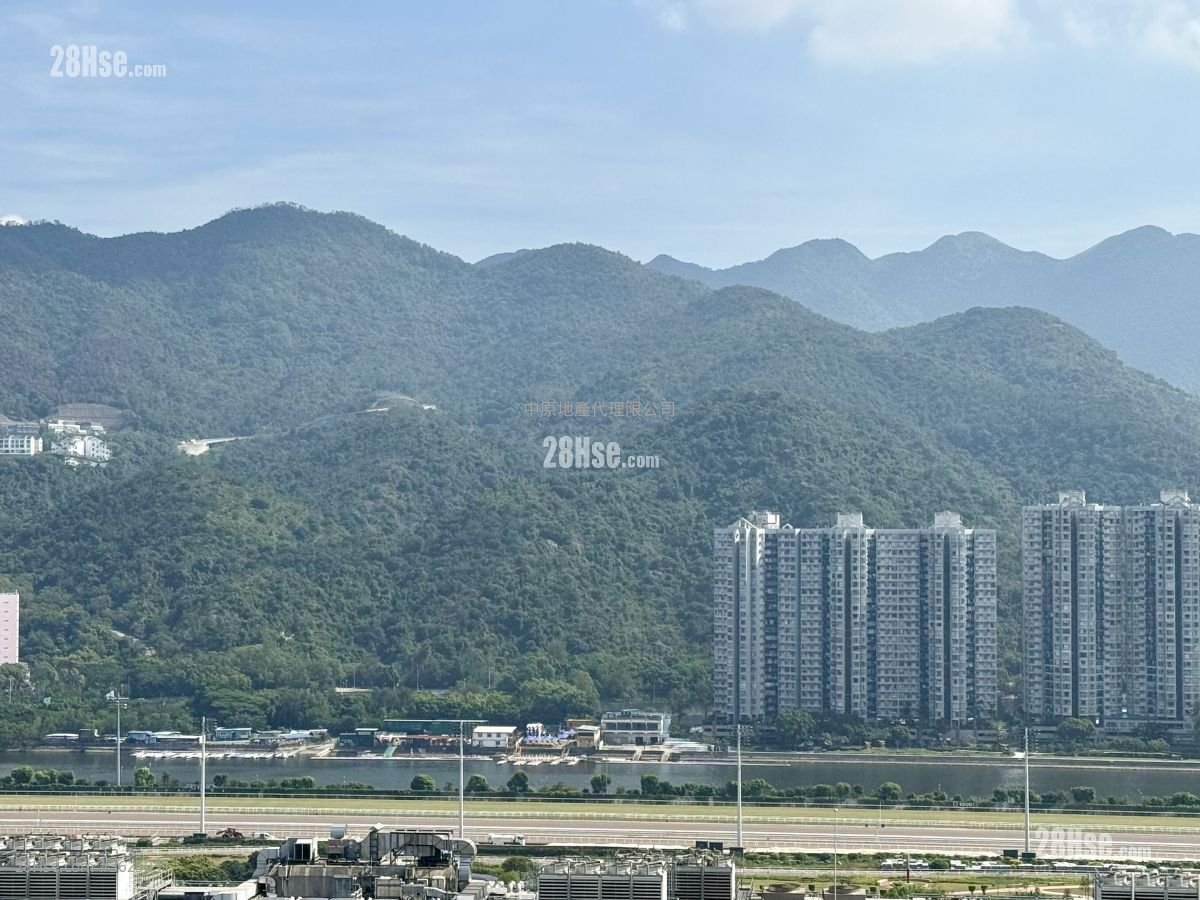 Royal Ascot Sell 3 Bedrooms 974 ft² Royal Ascot Sell 3 Bedrooms 974 ft²