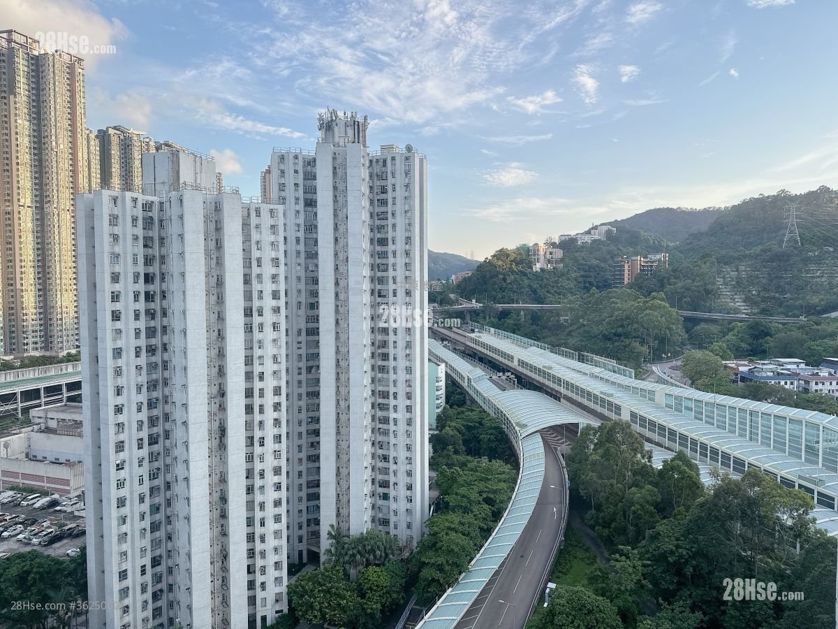 Glamour Garden Sell 3 Bedrooms 502 ft²