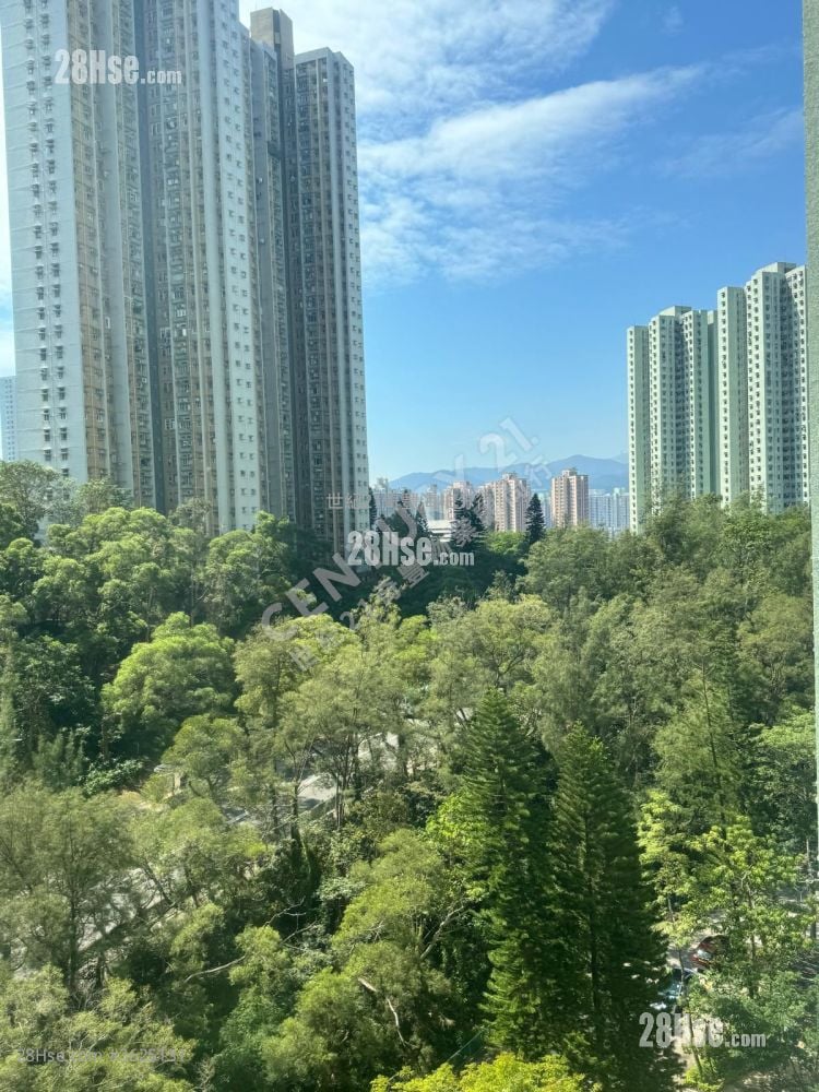 富宝花园 售盘 3 房 , 1 浴室 583 平方尺 富宝花园 售盘 3 房 , 1 浴室 583 平方尺