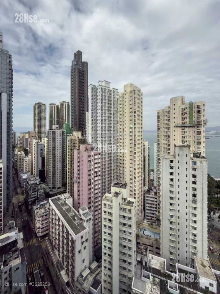 Kennedy 38 Rental 1 Bedroom , 1 Bathroom 287 ft² Kennedy 38 Rental 1 Bedroom , 1 Bathroom 287 ft²