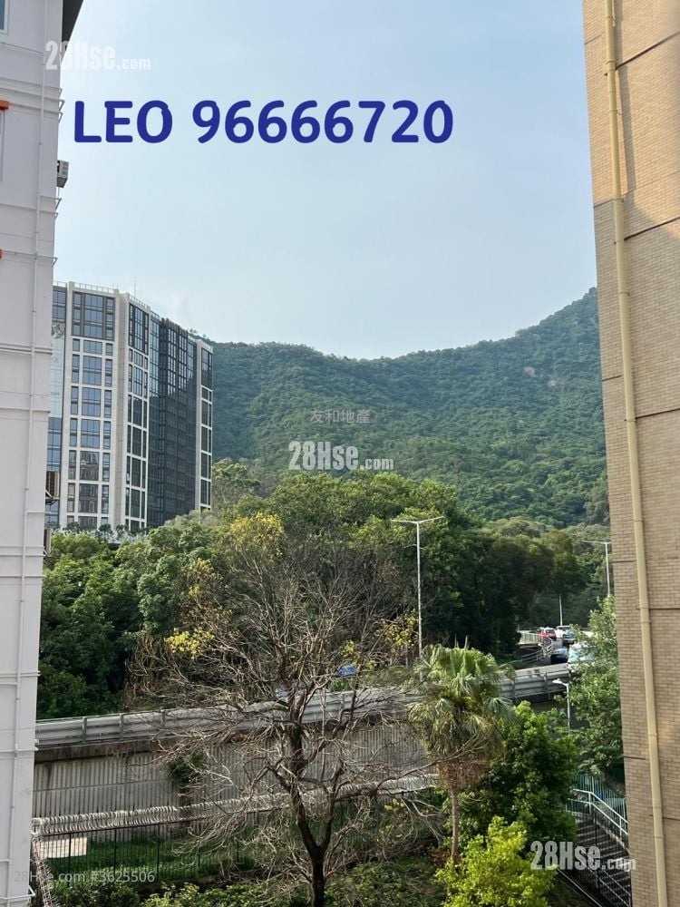 雅麗園 租盤 3 房 , 2 浴室 611 平方呎 雅麗園 租盤 3 房 , 2 浴室 611 平方呎