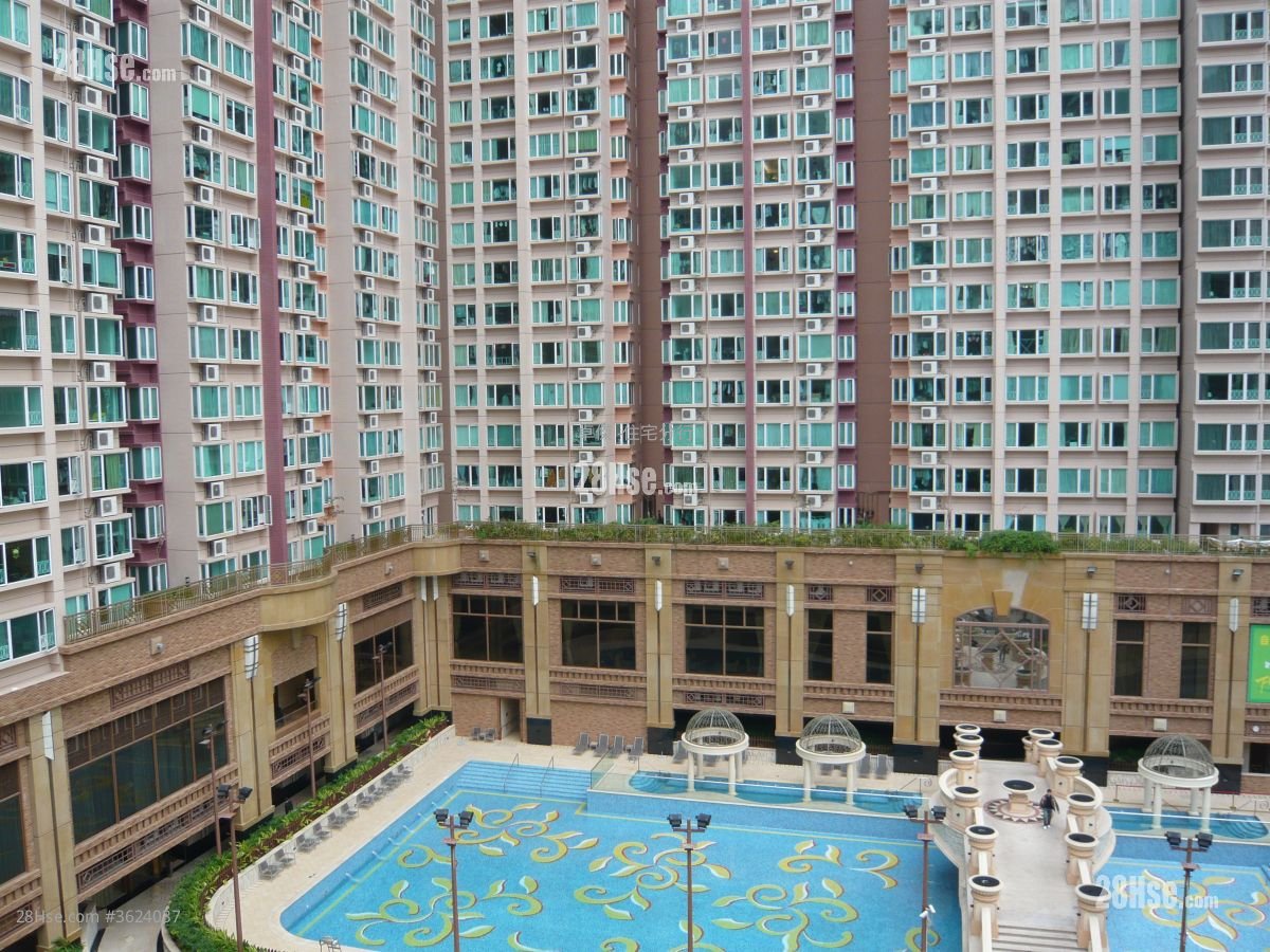 The Apex Rental 2 Bedrooms , 1 Bathroom 489 ft²