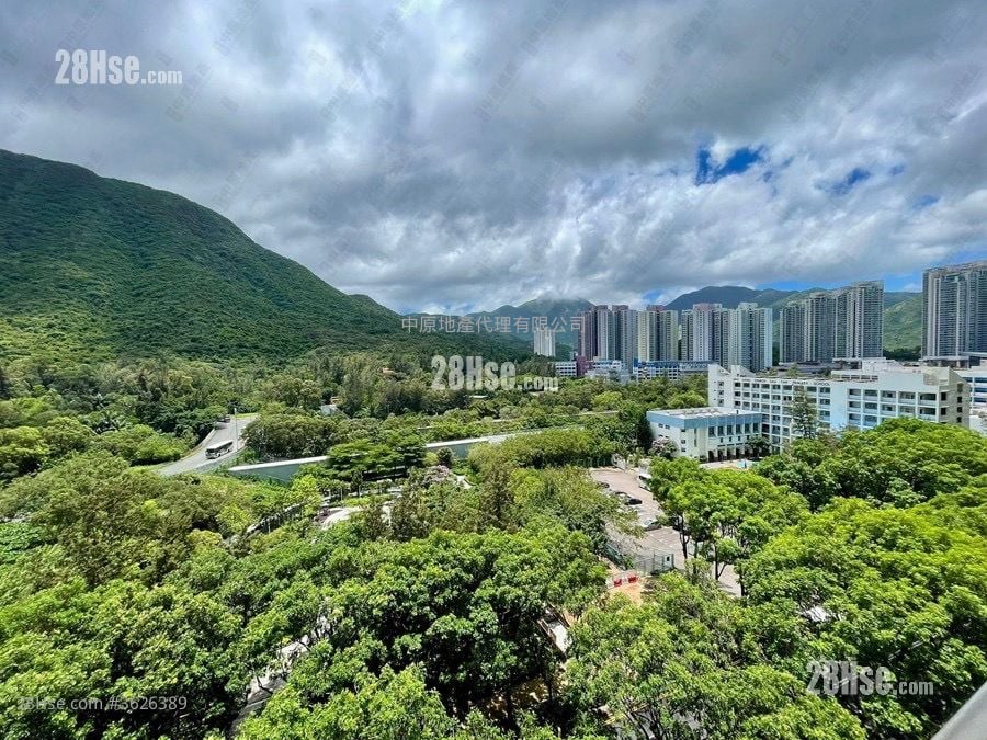 Coastal Skyline Rental 2 Bedrooms , 1 Bathroom 485 ft² Coastal Skyline Rental 2 Bedrooms , 1 Bathroom 485 ft²