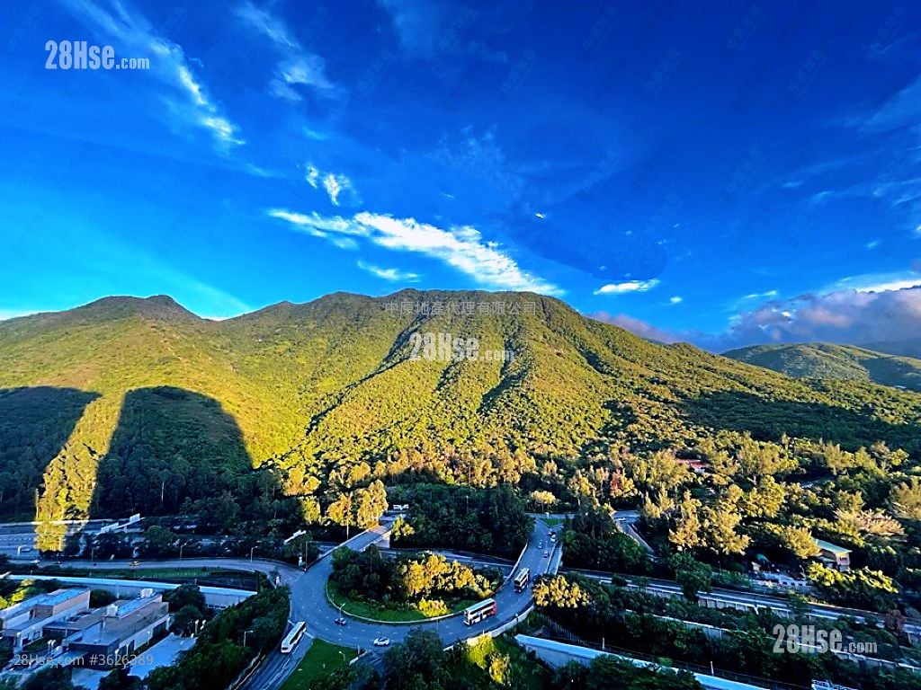 Coastal Skyline Rental 2 Bedrooms , 1 Bathroom 485 ft² Coastal Skyline Rental 2 Bedrooms , 1 Bathroom 485 ft²